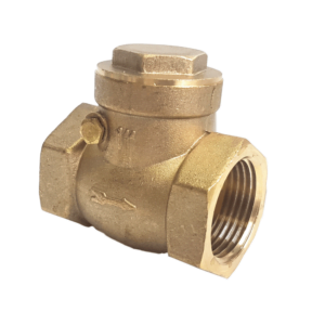 Swing Check Valve