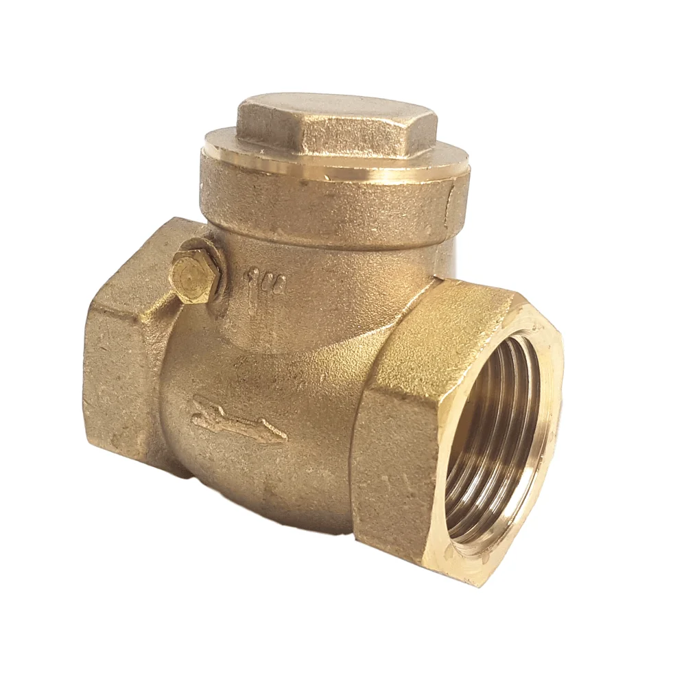 Swing Check Valve