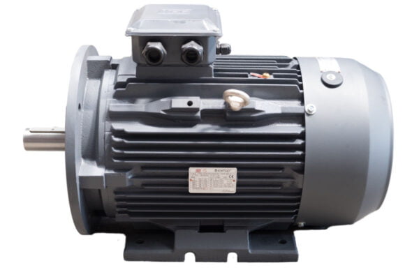 TEC T3C IE3 Motor, 45 kW, 3 Ph Cast Iron, B35 Foot & Flange Mounted, 2 Pole, 225 Frame